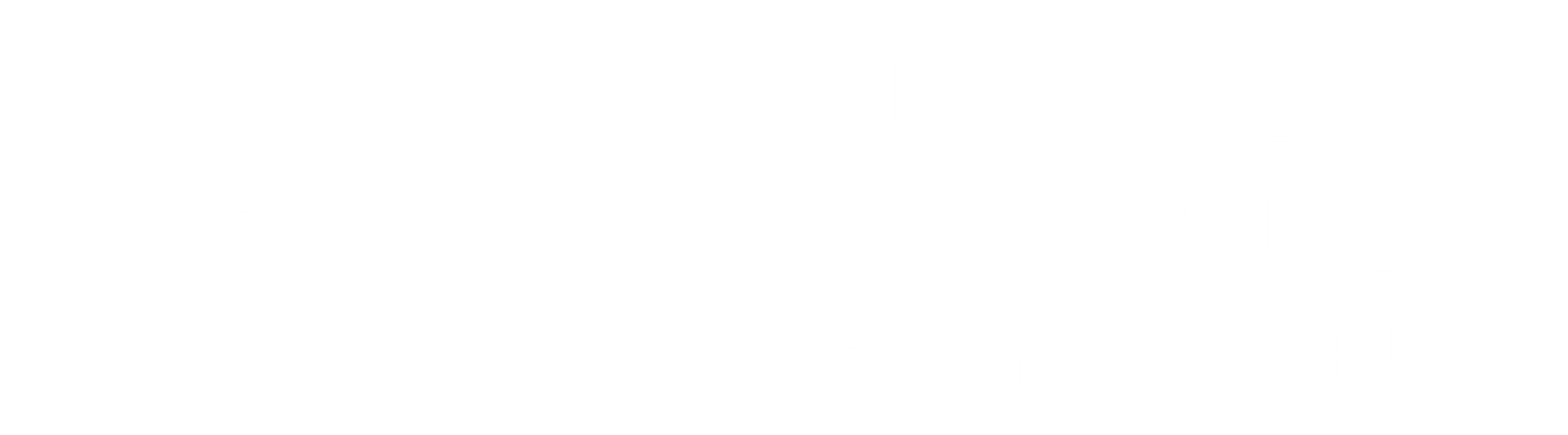 Financiado por la Unión Europea_WHITE Outline
