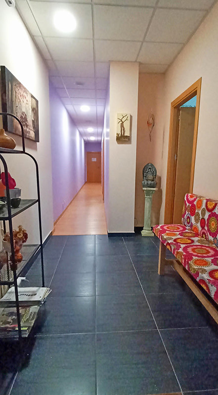 interior-centro-mushu